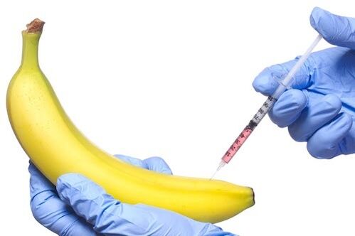 aumento do pênis injetável no exemplo de uma banana