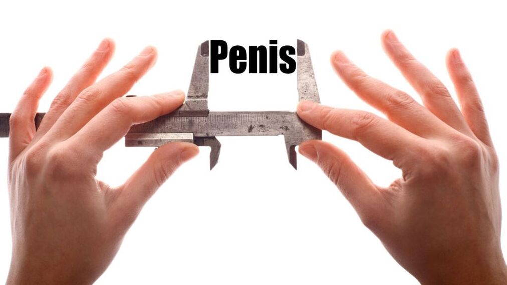 Tamanho do pênis pequeno