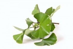 ginkgo biloba para aumentar o pênis